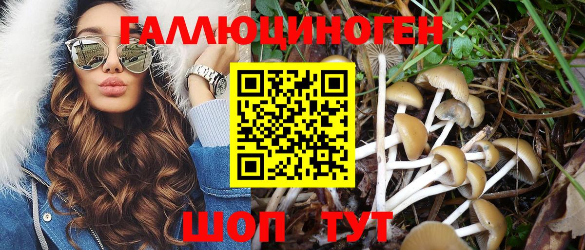 Галлюциногенные грибы Magic Shrooms  цена   Димитровград  Галлюциногенные грибы Psilocybine cubensis  Вход с VPN 